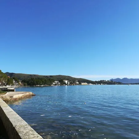 Dalia * Port de Pollença
