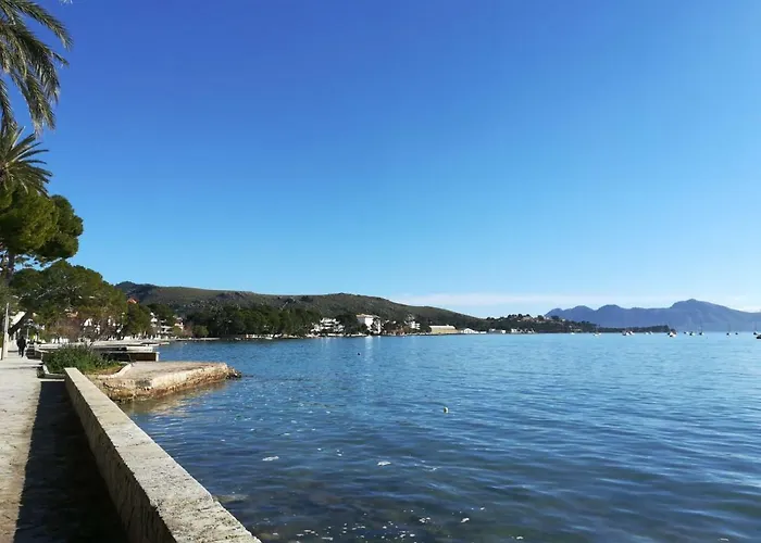 Dalia * Port de Pollença